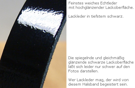 Bild 1 von Lackleder - Halsband mit Spikenieten 12mm, 1-reihig