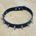Bild 4 von eXtra Collection > Nietenhalsband mit Spikenieten 10mm (Hex 10)