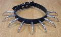 Bild 3 von Halsband, ovale Säbelnieten 46mm, 1-reihig