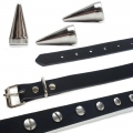 Bild 3 von eXtra Collection >> Nietenhalsband mit Spikenieten 15mm (Con43)