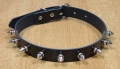 Bild 4 von Lackleder - Halsband mit Spikenieten 12mm, 1-reihig