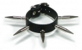 Bild 3 von Set 17 >> Set mit 4 Artikel, Nietenhalsband und Armbänder mit Nieten 45mm