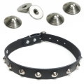 Bild 1 von eXtra Collection >> Nietenhalsband, Spitznieten 4mm >> Sonderangebot !!