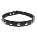 Bild 2 von Nietenhalsband, Spitznieten 4mm, 1-reihig, Halsband, Choker