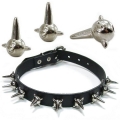 Bild 1 von Nietenhalsband, Morgenstern Nieten 21mm, 1-reihig