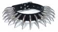 Bild 1 von Halsband, ovale Säbelnieten 46mm, 2-reihig (30 Nieten)