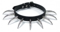 Bild 1 von Halsband, ovale Säbelnieten 46mm, 1-reihig