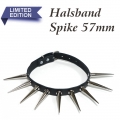 Bild 1 von Nietenhalsband, eXtra Collection >> Nietenhalsband mit Spikenieten 57mm