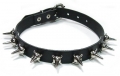 Bild 2 von Nietenhalsband, Morgenstern Nieten 21mm, 1-reihig